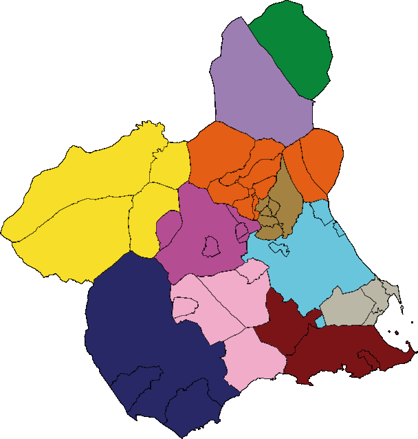 Partidos Judiciales de la Región de Murcia 2007