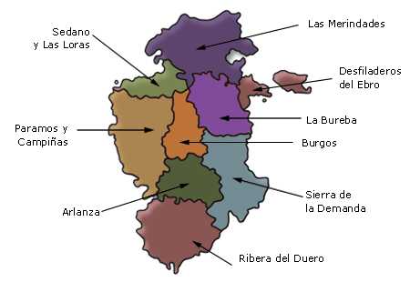 Comarcas de la provincia Burgos