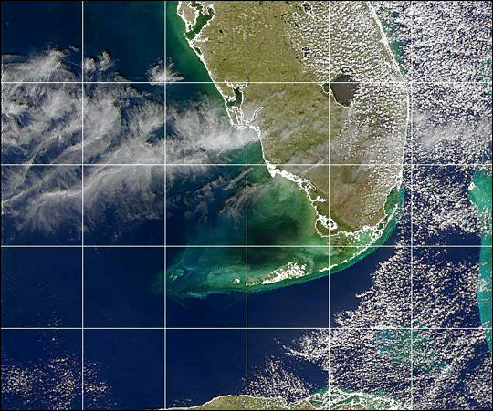Agua negra cerca de la costa del Golfo de Florida