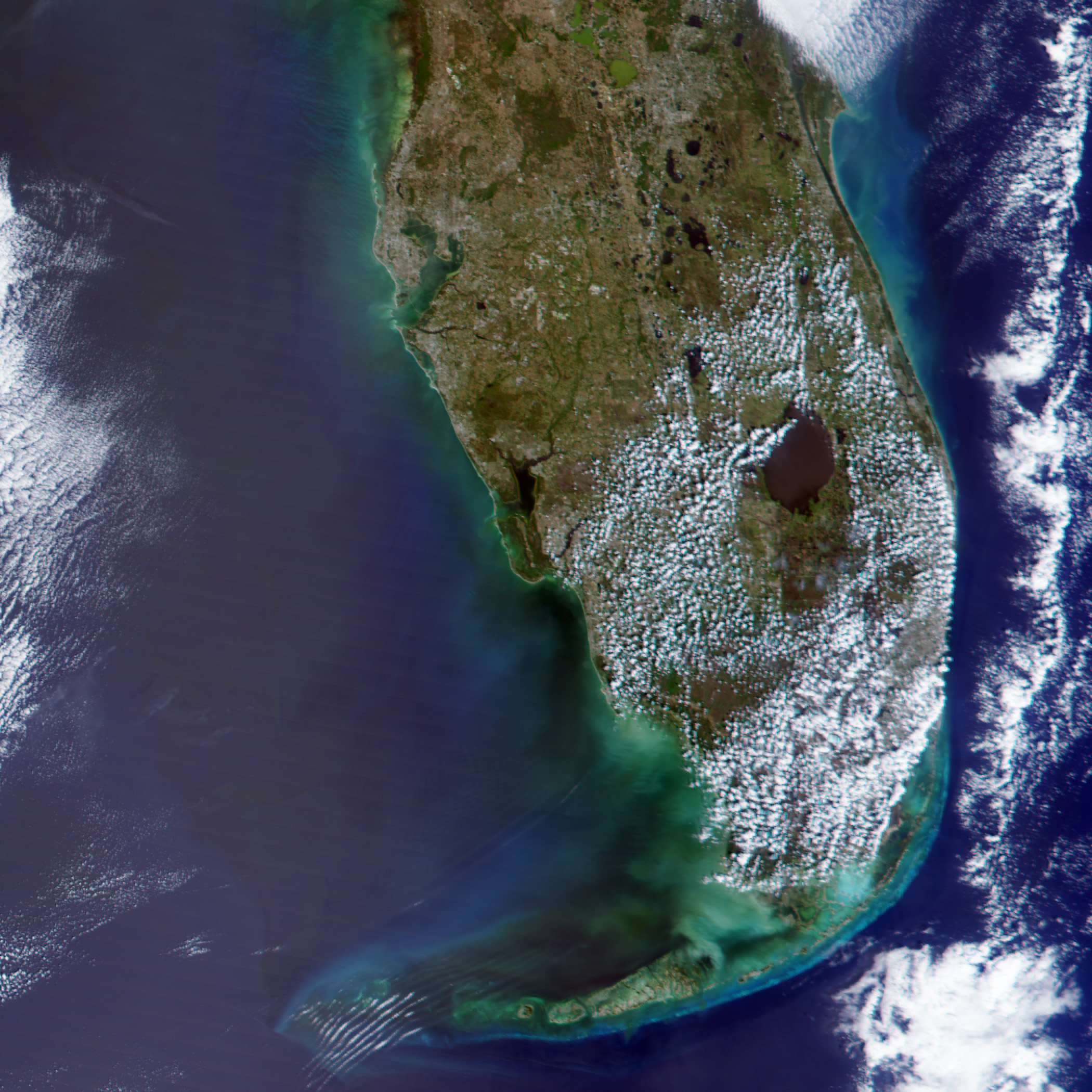 Agua negra cerca de la costa del Golfo en Florida