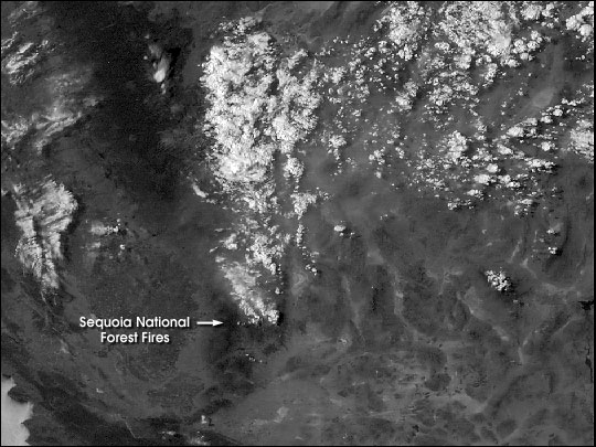 Animación del fuego del bosque de Sequoia