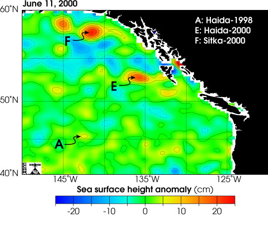 Corriente de Foucault en el Golfo de Alaska