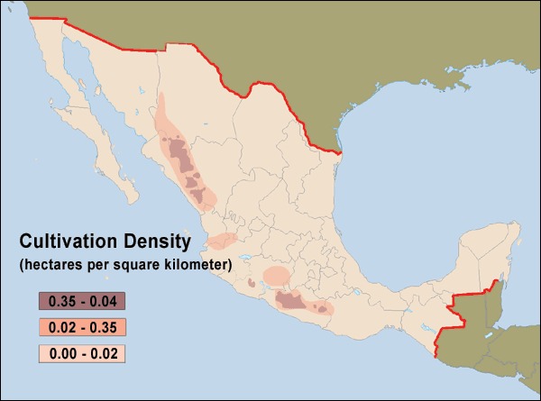 Densidad de Cultivo del Cannabis, México 2001