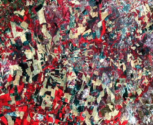 Foto, Imagen del Satelite Landsat, sensor Thematic Mapper, Córdoba, España