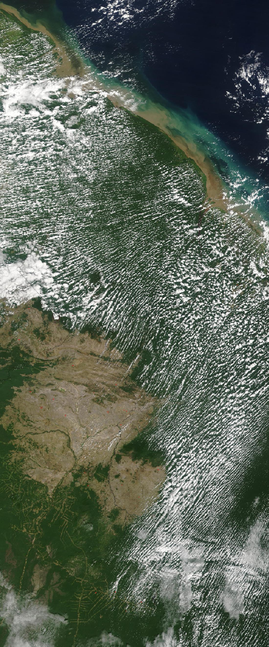 Imagen, Foto Satelite de Guyana