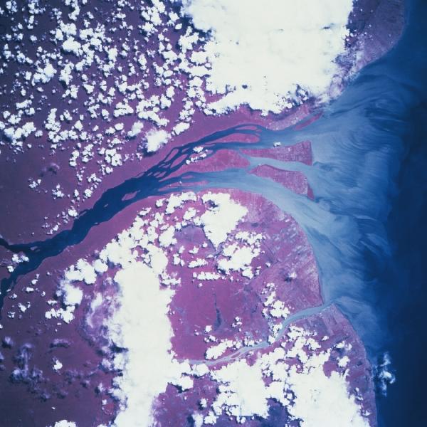 Imagen, Foto Satelite del Rio Essequibo, Guyana