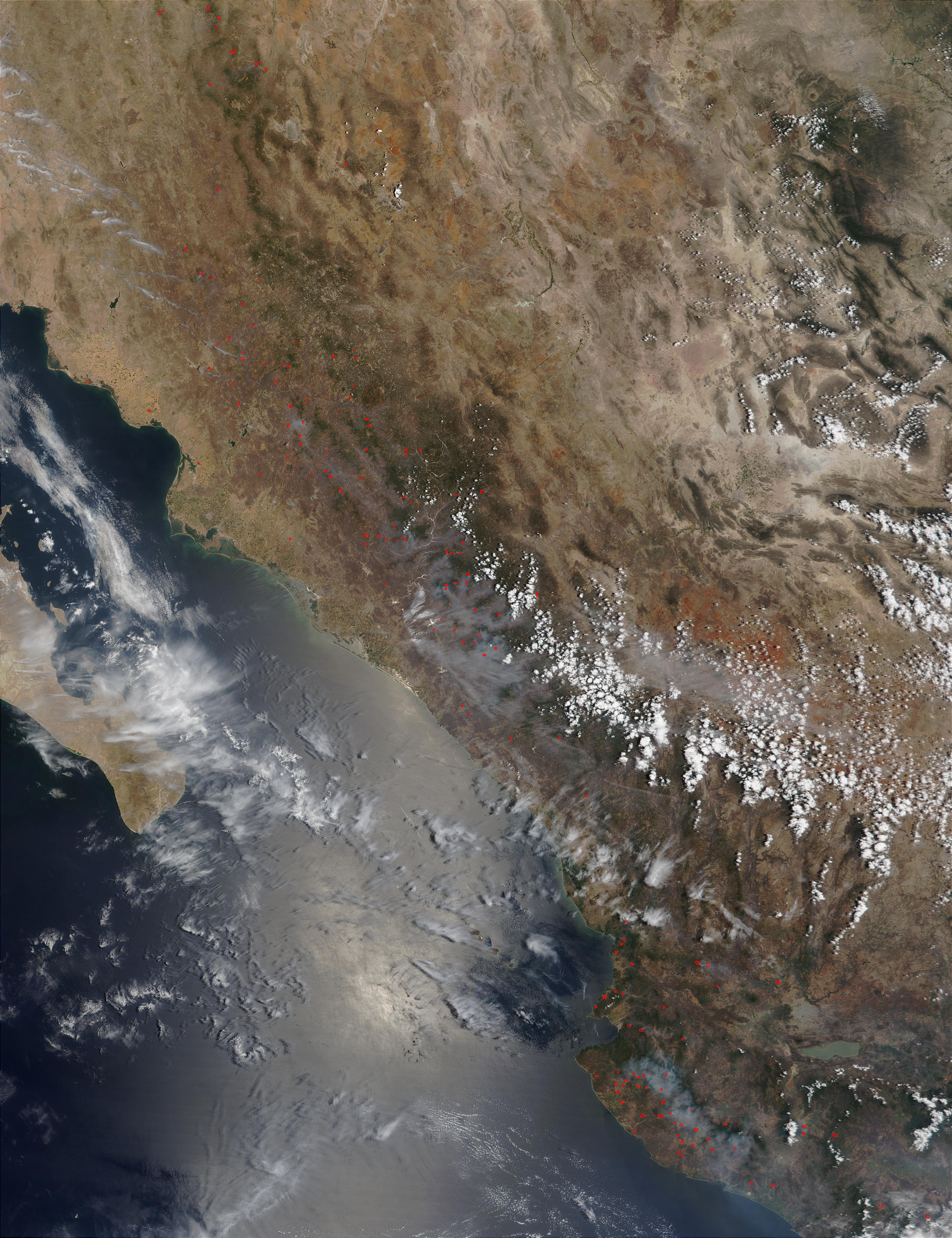 Incendios en Sierra Madre Occidental y el sur de México