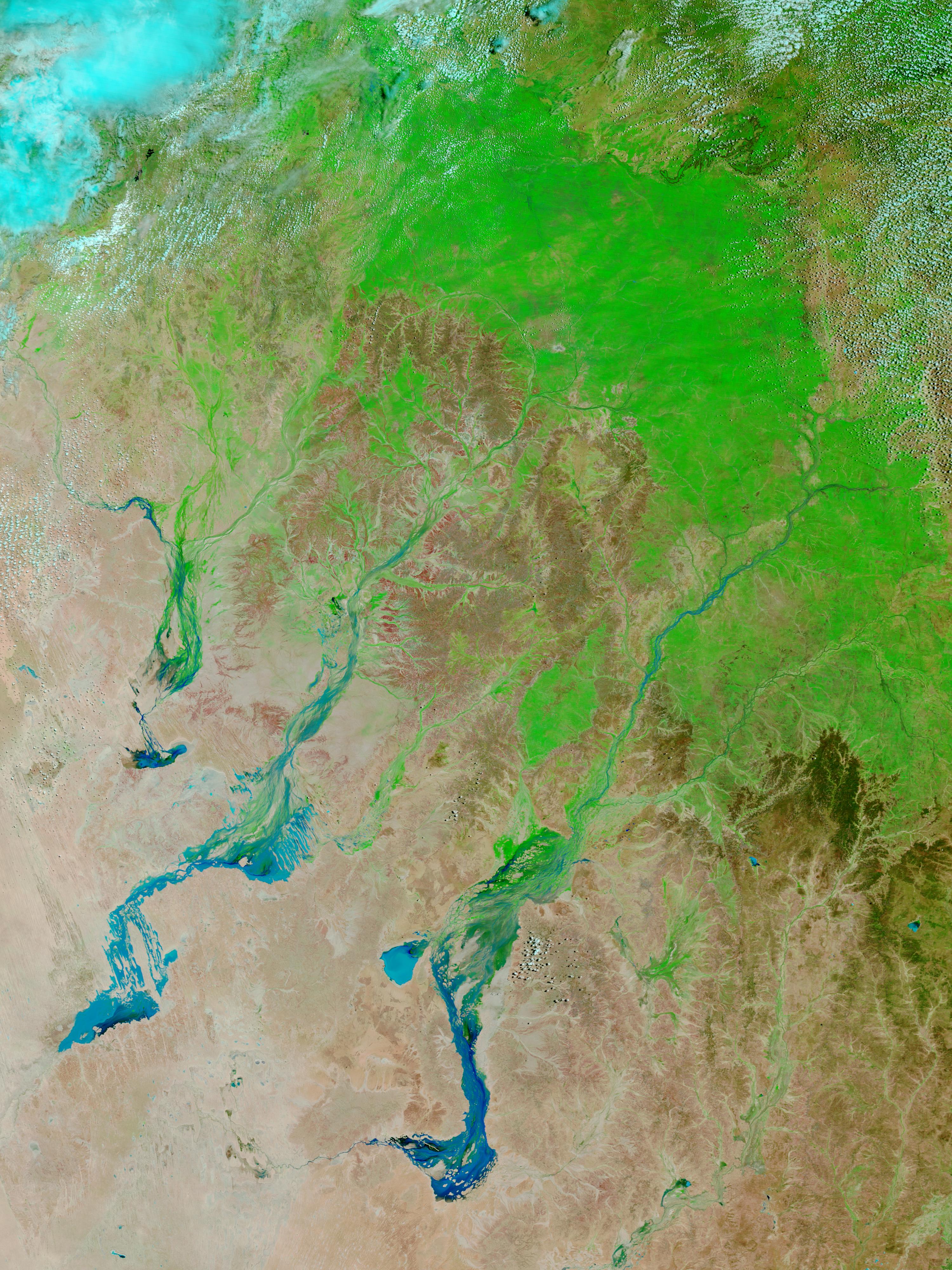 Inundaciones y verdecimiento en Queensland, Australia (falso color)