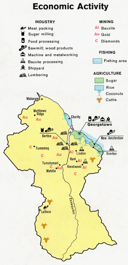 Mapa de Actividad Económica de la Guyana