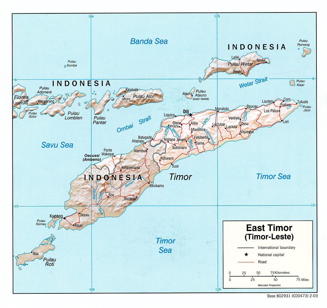 Mapa de Relieve Sombreado de Timor Oriental