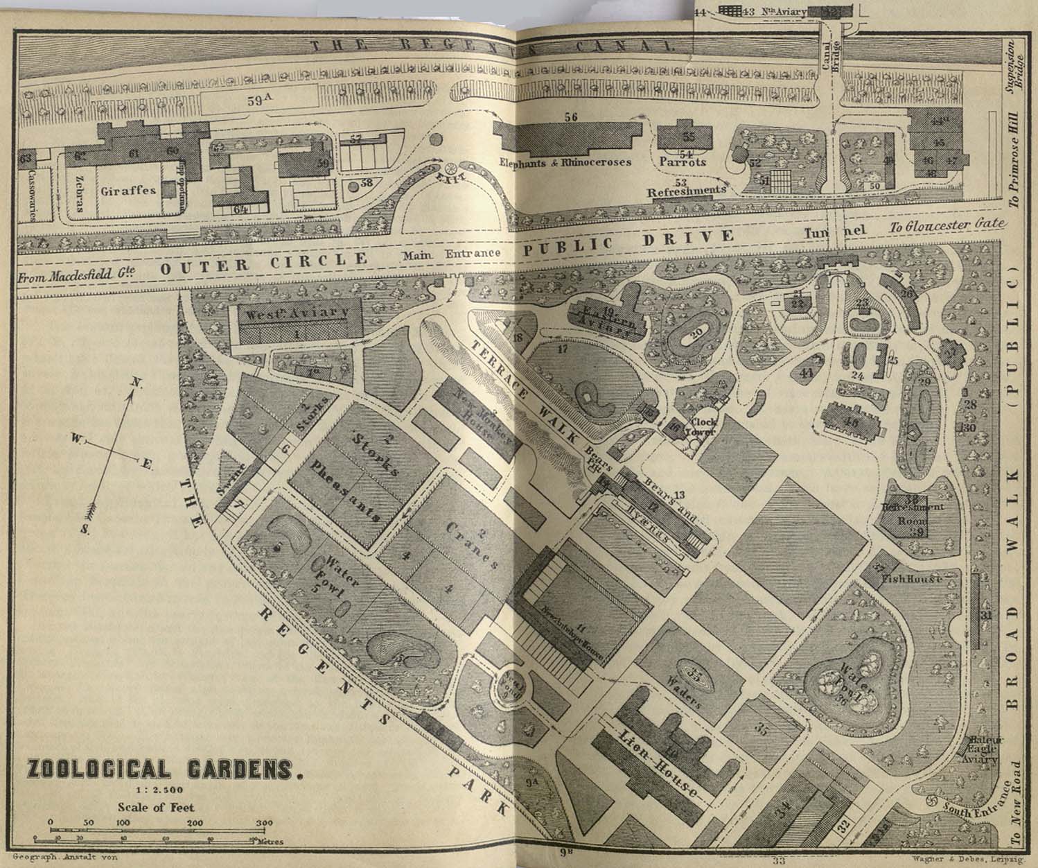 Mapa del Jardín Zoológico, Londres 1894
