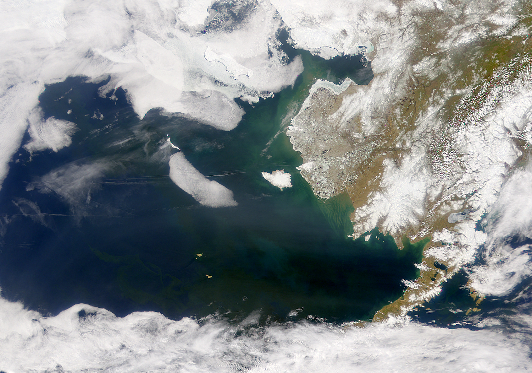 Mar de Bering en Proliferación