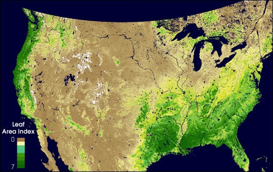 Mide densidad de plantas del dosel de Estados Unidos