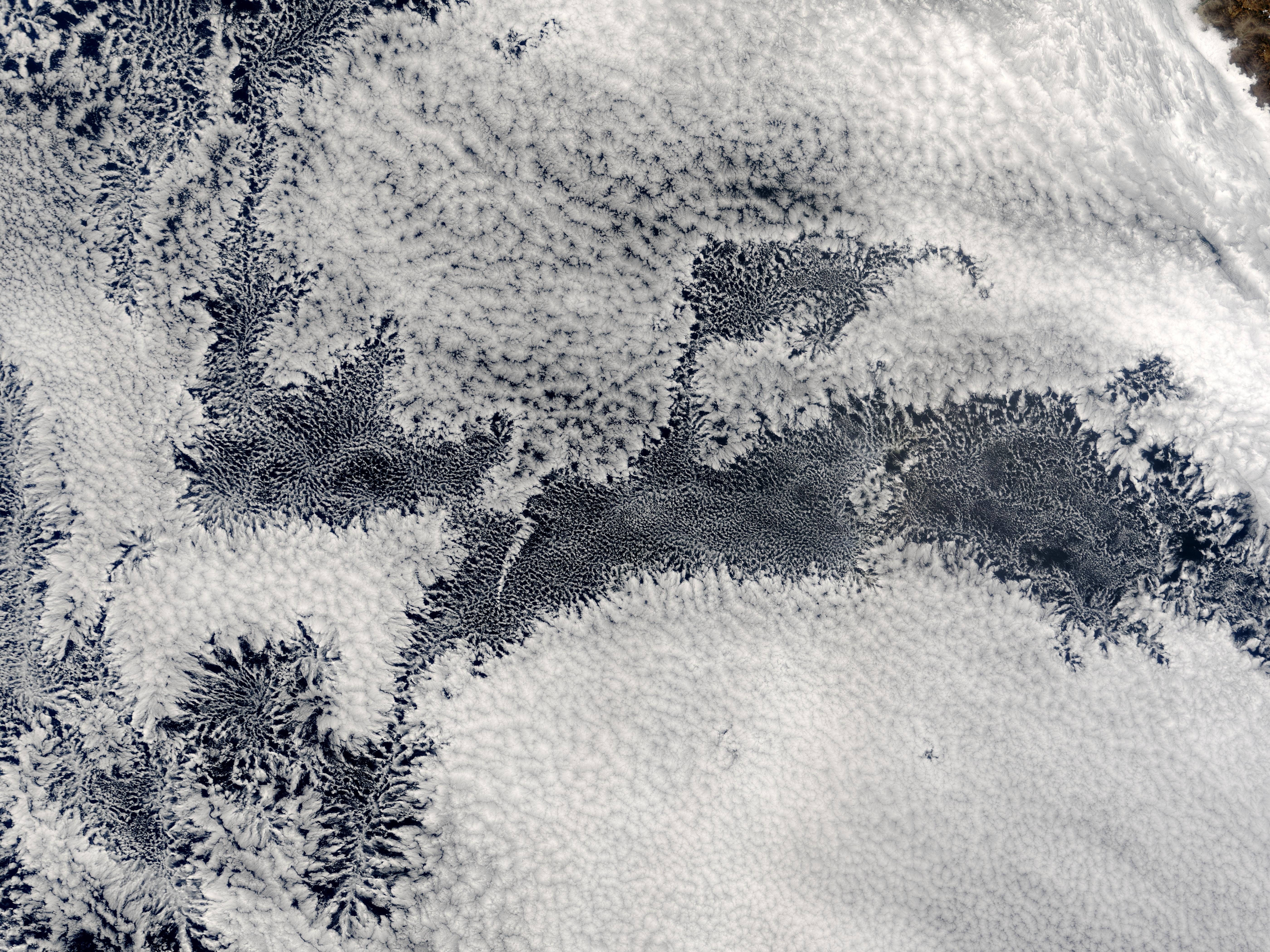 Patrones de nubes cumulos abiertos y cerrados cerca Perú, Océano Pacífico