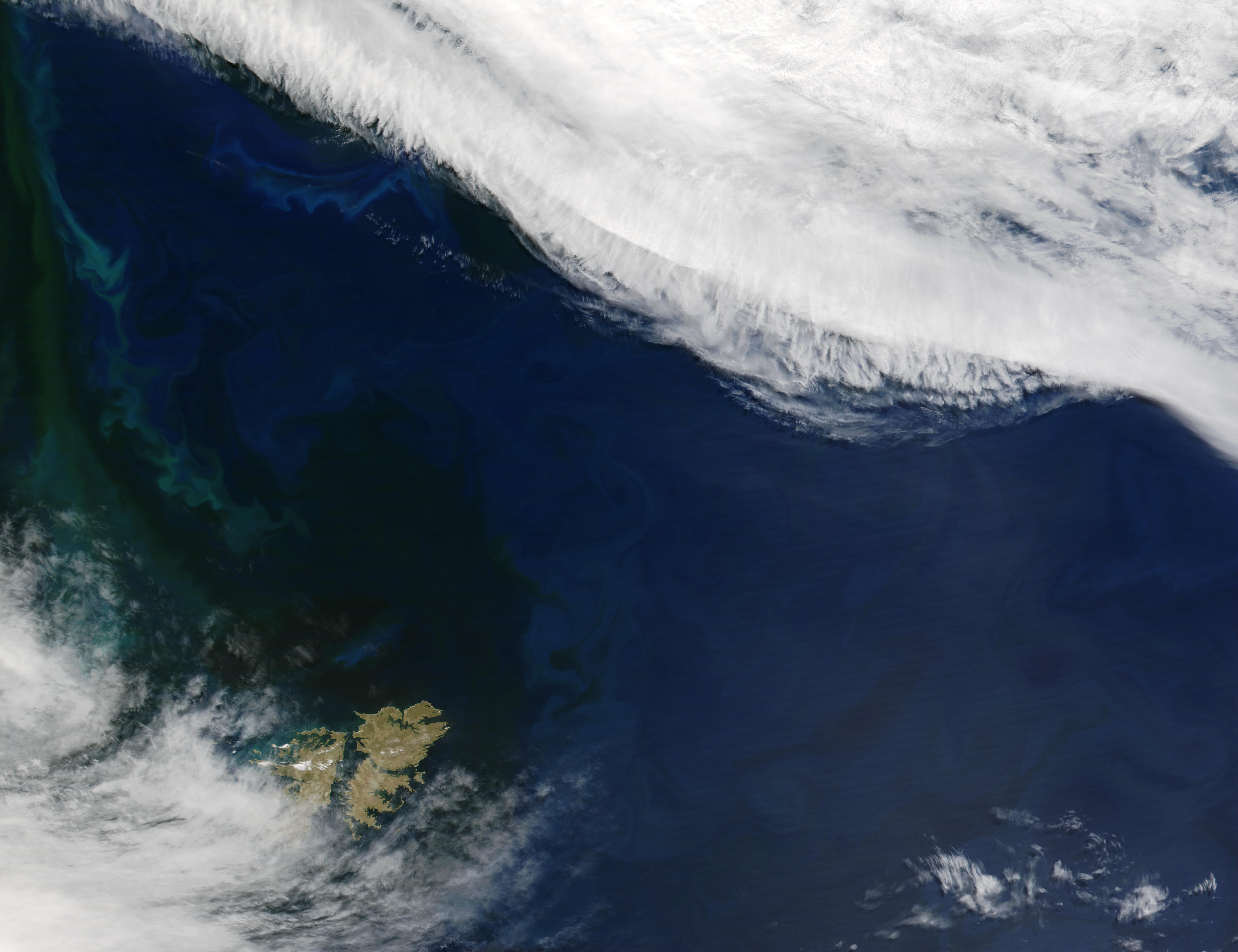 Proliferación de fitoplancton cerca de las Islas Malvinas, Océano Atlántico sur