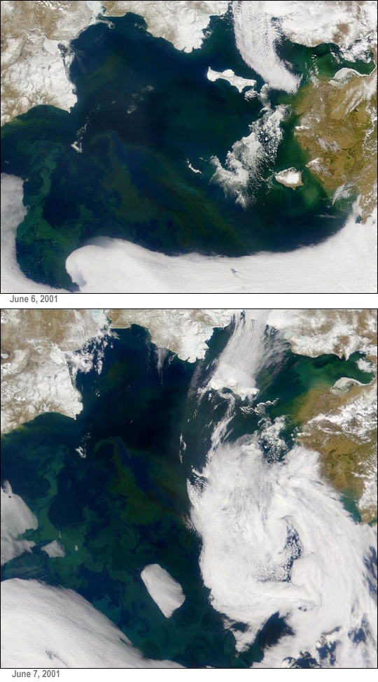 Proliferación de fitoplancton en el Mar de Bering