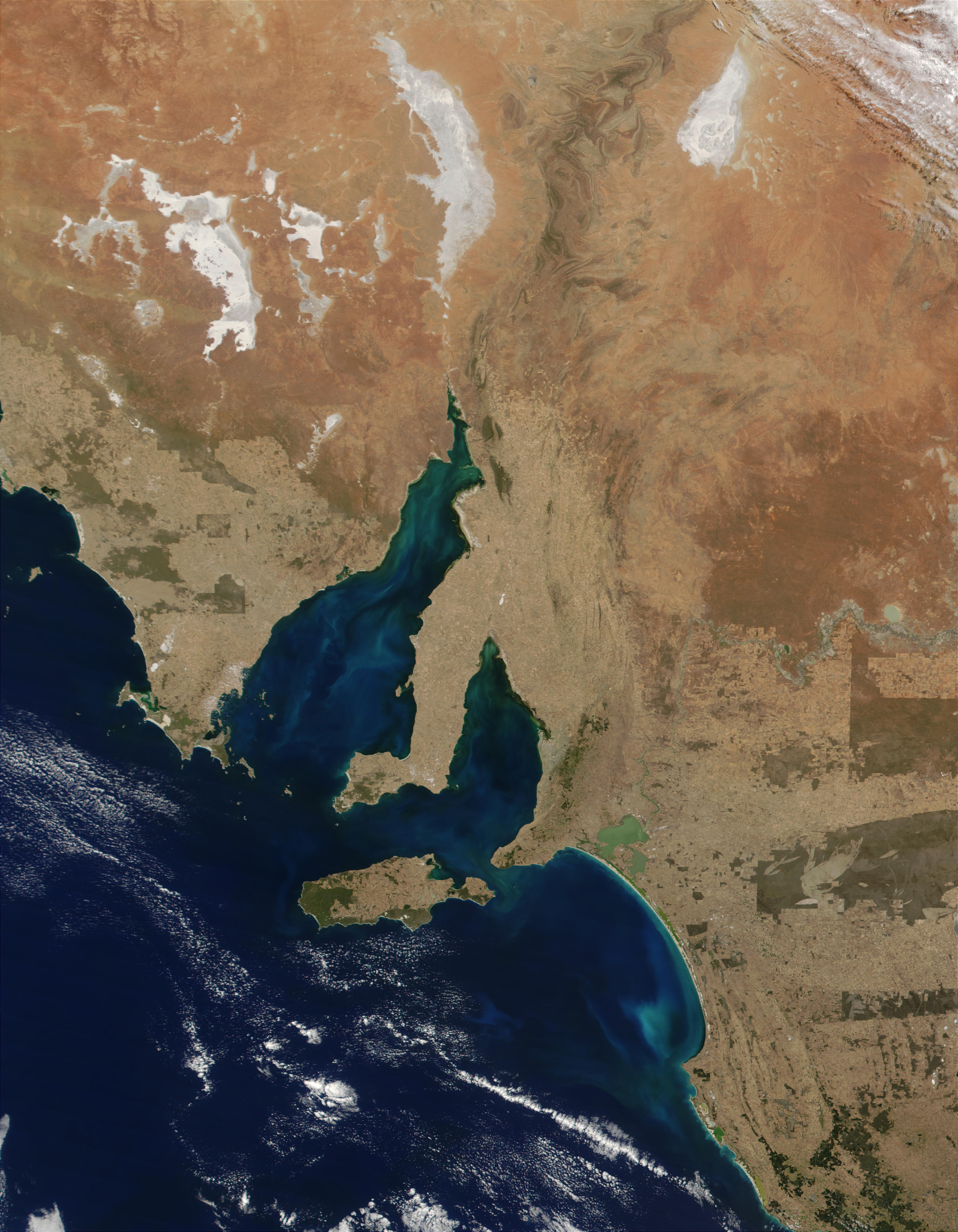 Proliferación de fitoplancton en el golfo de Spencer, golfo St. Vincent y bahía Lacepede, sur de Australia