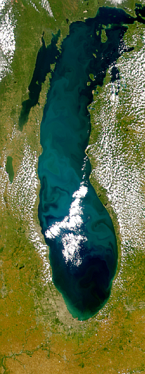 Proliferación en el Lago Míchigan
