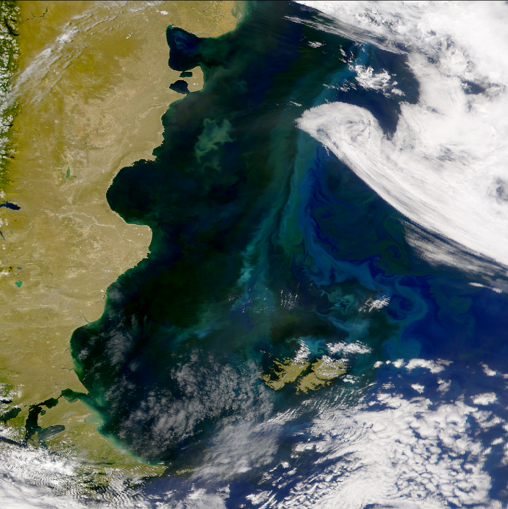 Proliferaciones en la plataforma patagónica