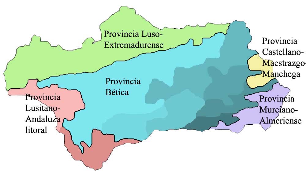 Provincias corológicas de Andalucía