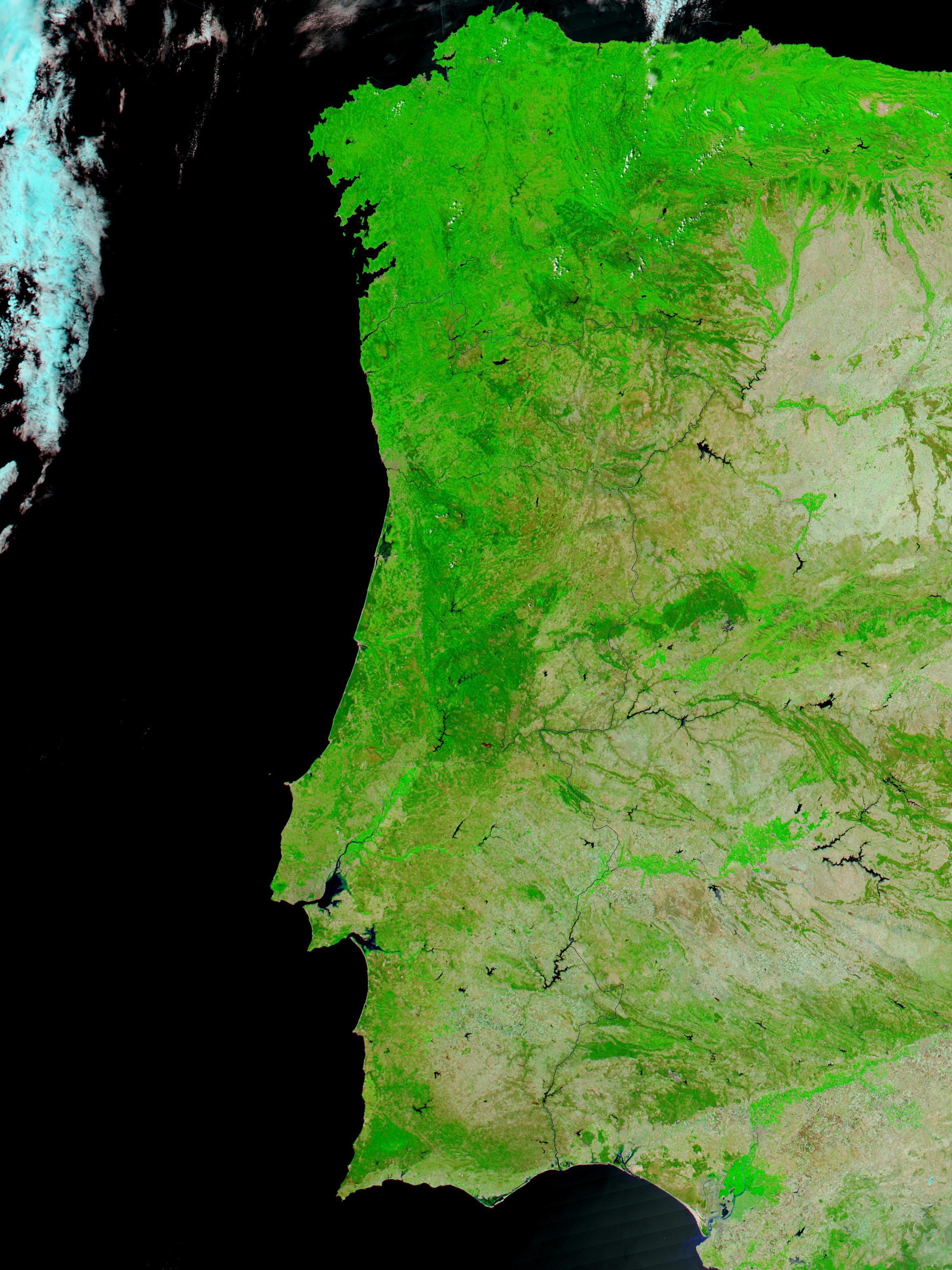 Satellite Image, Photo of Forest Fires in Portugal