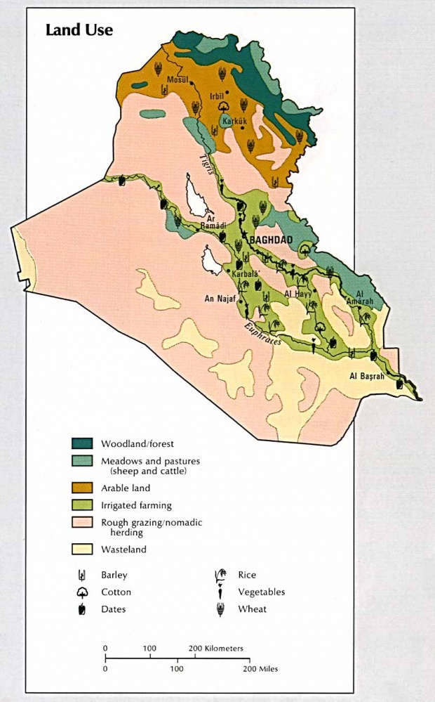 Uso de la Tierra en Irak 1993