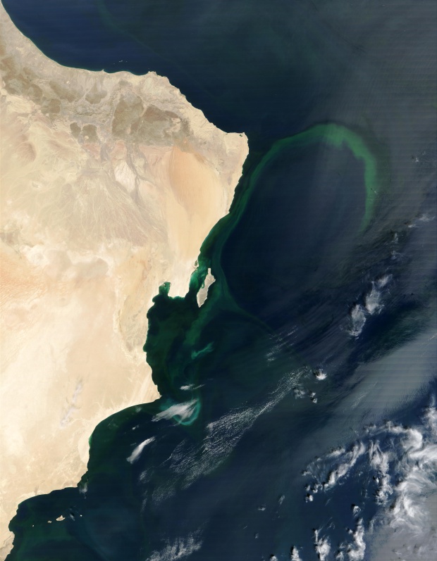 Aguas verdes cerca de Omán en el Mar Arábigo