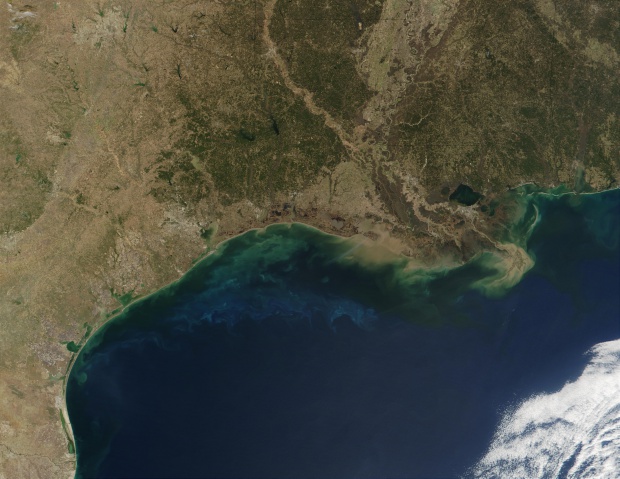 Fitoplancton y sedimentos en el Golfo de México