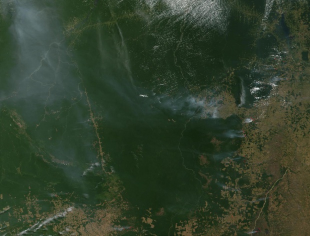 Imagen, Foto Satelite de Deforestación en Estado de Pará, Brasil