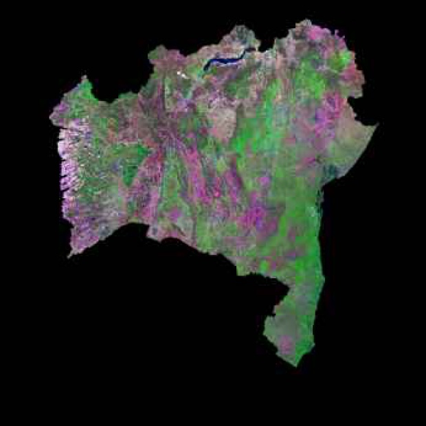 Imagen, Foto Satelite del Estado de Bahia, Brasil