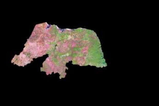 Imagen, Foto Satelite del Estado de Rio Grande do Norte, Brasil