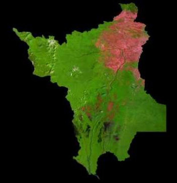 Imagen, Foto Satelite del Estado de Roraima, Brasil