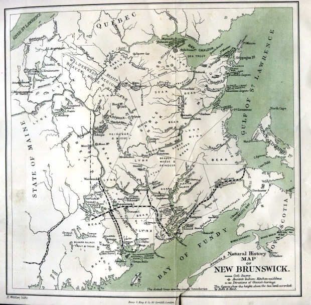 Mapa de Nuevo Brunswick, Canadá 1873