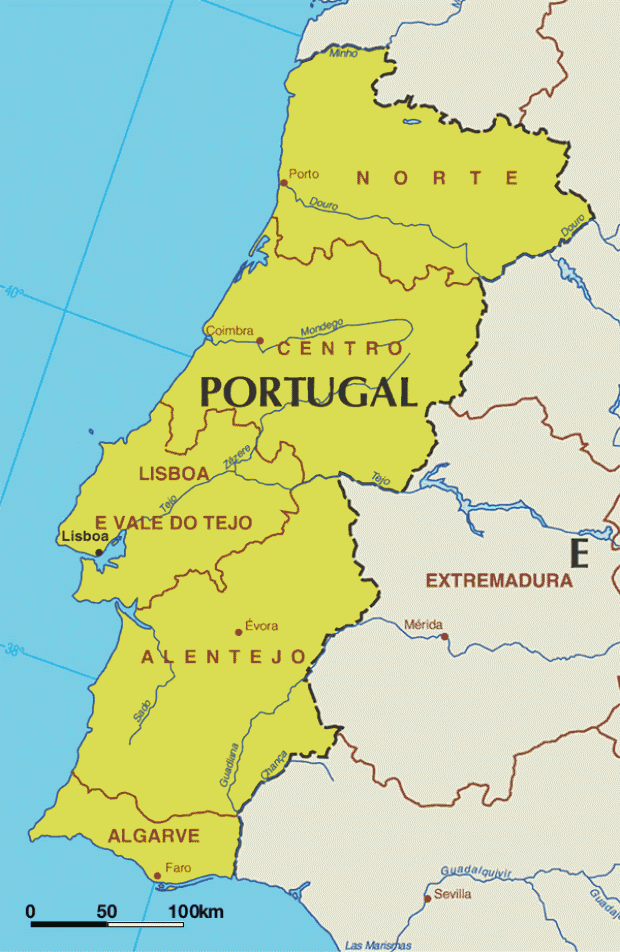 Mapa De Portugal Fisico Politico 61x91,5cm Gpe4799 - Americana Pro