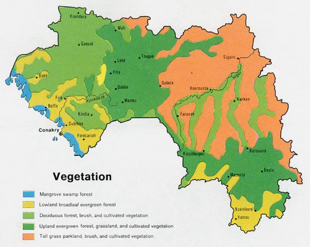 Mapa de Vegetación de Guinea