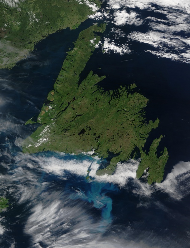 Proliferación de fitoplancton cerca de Terranova, Canadá